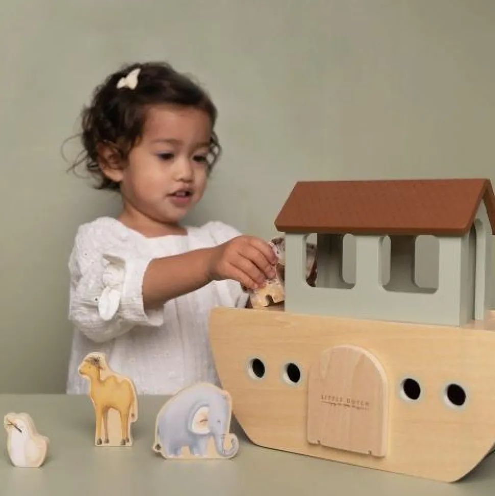 Ark van Noach - Meerkleurig