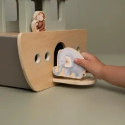 Ark van Noach - Meerkleurig