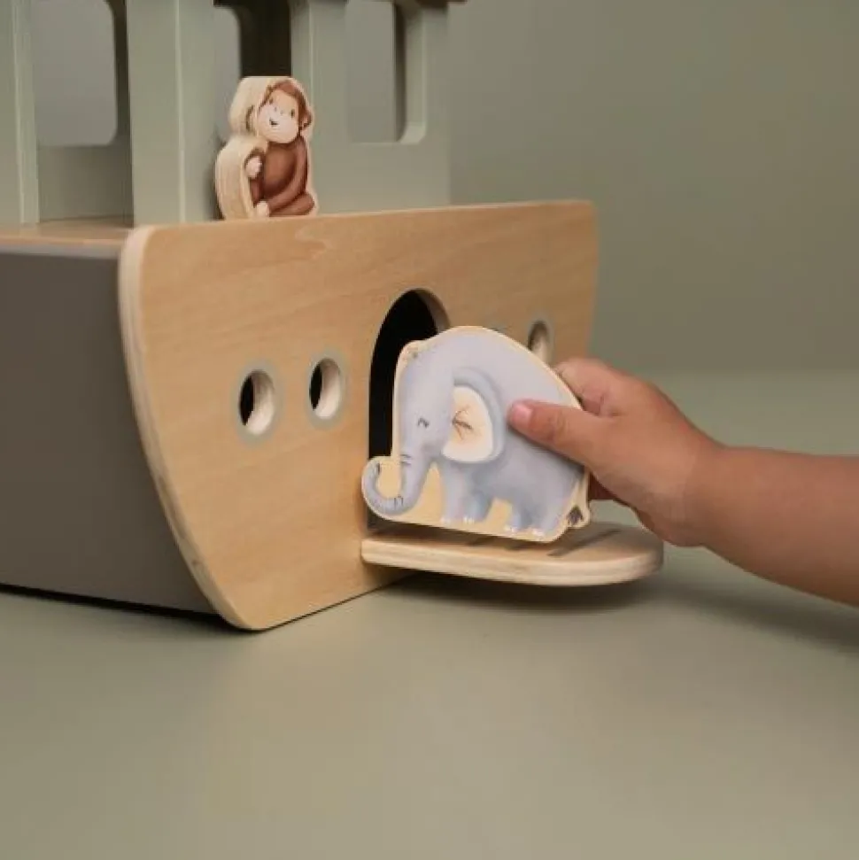 Ark van Noach - Meerkleurig