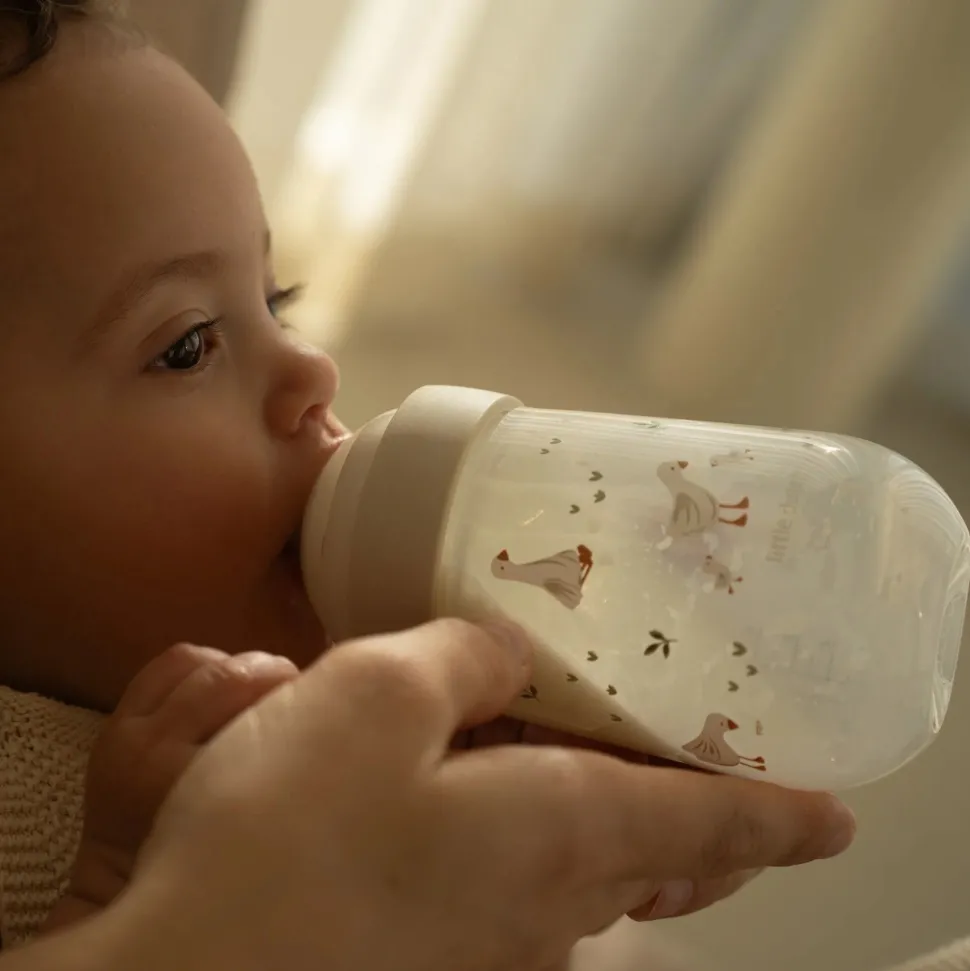 Babyfles 240 ml Little Goose