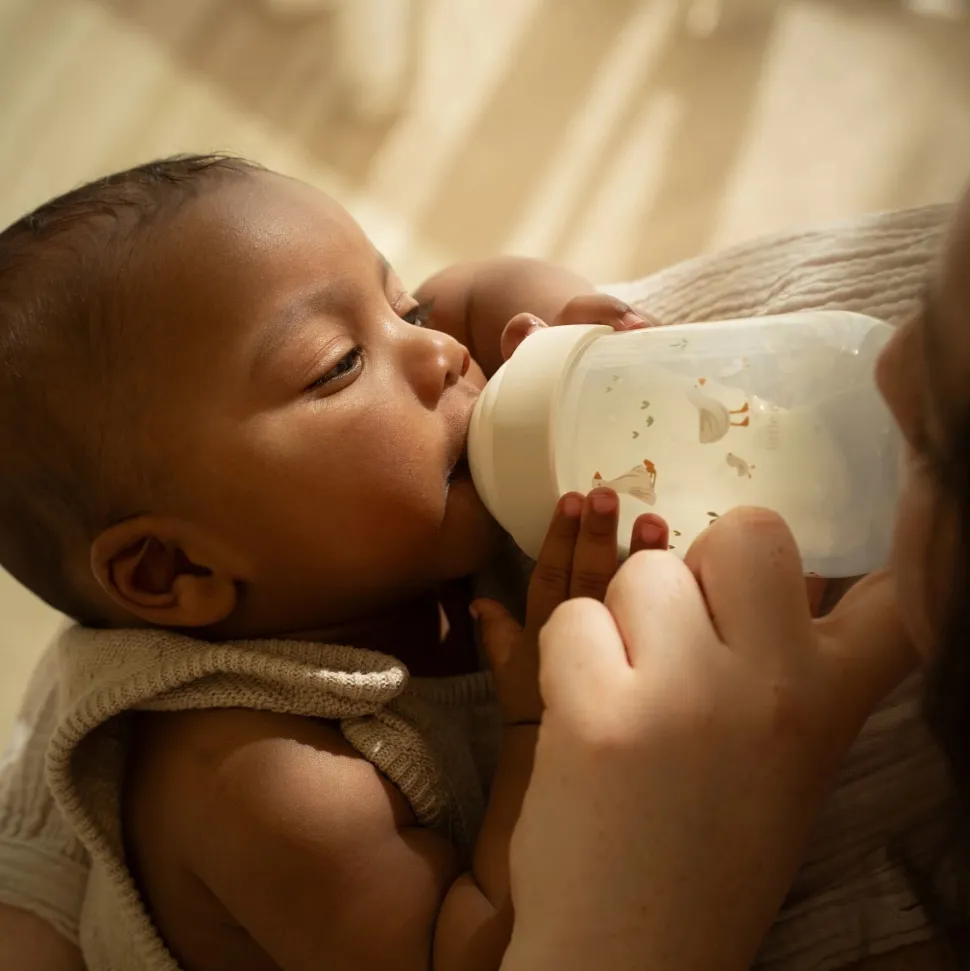 Babyfles 240 ml Little Goose