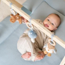 Babygym - Blauw - Forest Friends