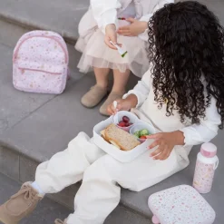 Bento Lunchbox groot Fairy Wonders