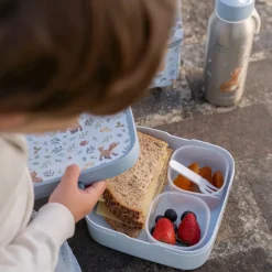 Bento Lunchbox groot Forest Friends