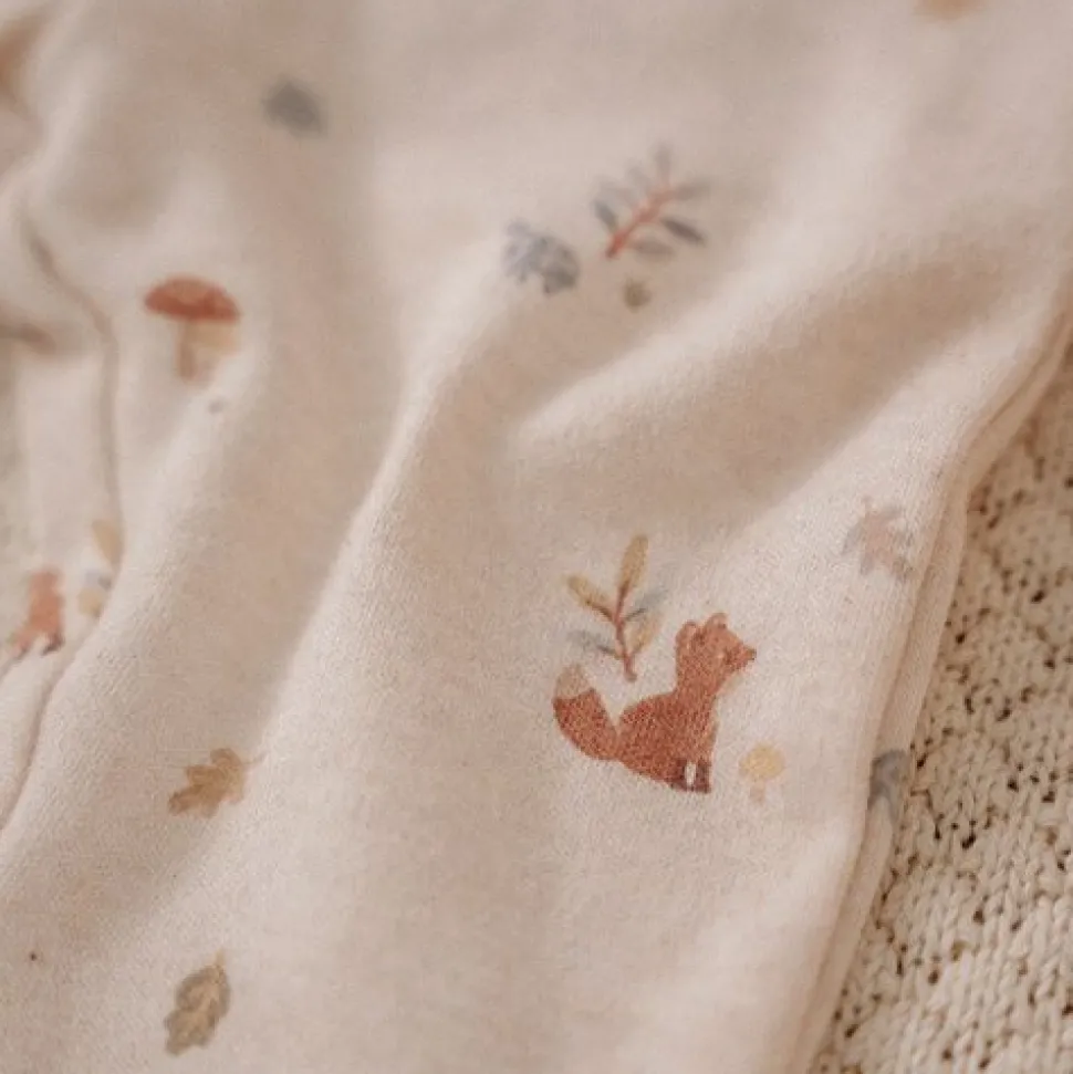 Broek - Zand - Forest Friends - Forest Nature