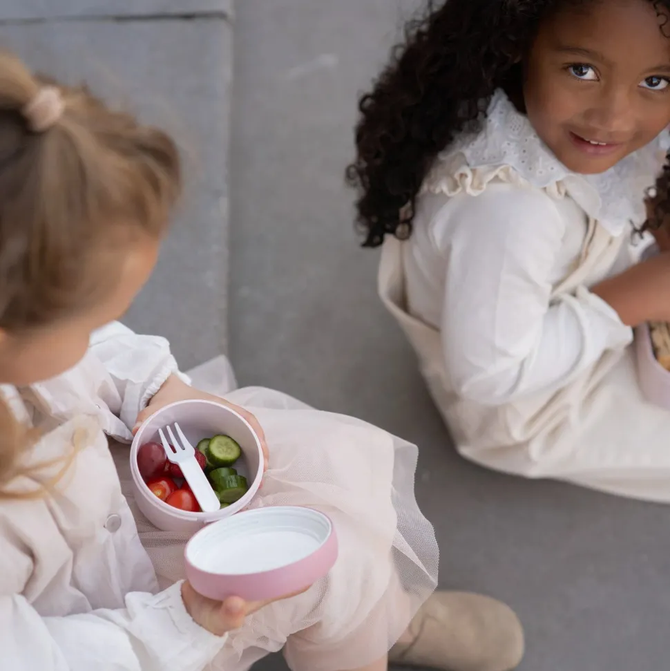 Fruitbox Campus 300 ml Fairy Garden