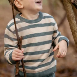 Gebreide trui - Groen - Forest Friends - Stripe