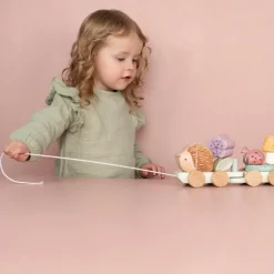 Houten Blokkentrein - Roze - Fairy Garden