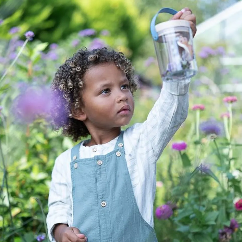 Insectenpotje - Blauw - Forest Friends