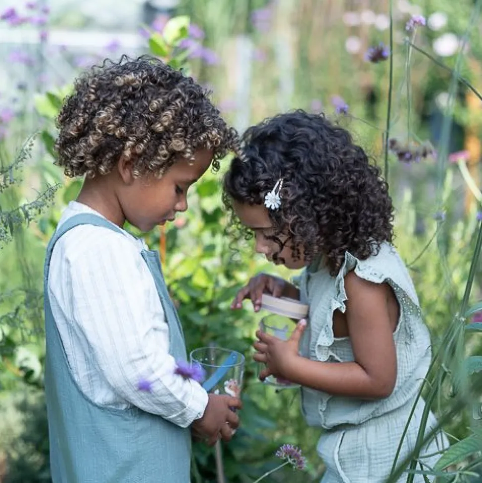 Insectenpotje - Blauw - Forest Friends