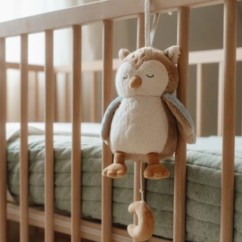 Muziekdoosje - Uil - Forest Friends