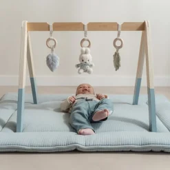 nijntje babygym - Blauw - Lucky Leaves