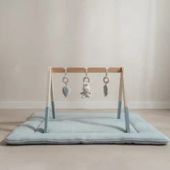 nijntje babygym - Blauw - Lucky Leaves