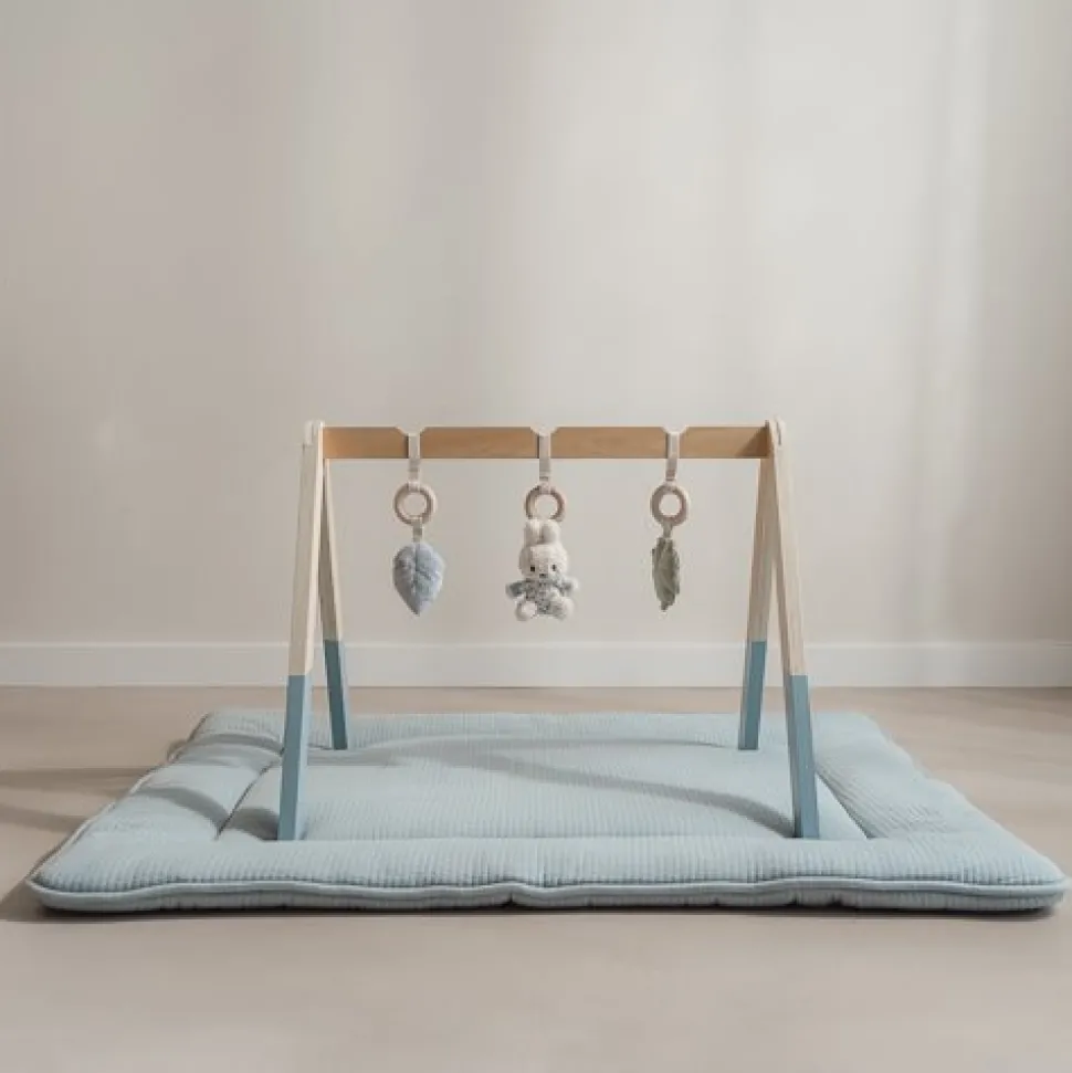 nijntje babygym - Blauw - Lucky Leaves