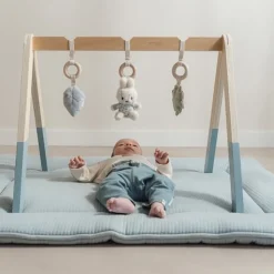 nijntje babygym - Blauw - Lucky Leaves