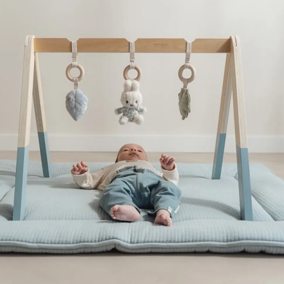 nijntje babygym - Blauw - Lucky Leaves