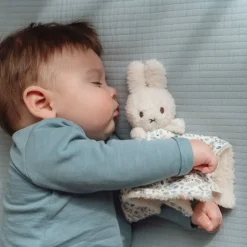 nijntje geschenkdoos - Blauw - Lucky Leaves