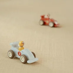 Pullback racewagens - Meerkleurig - Essentials