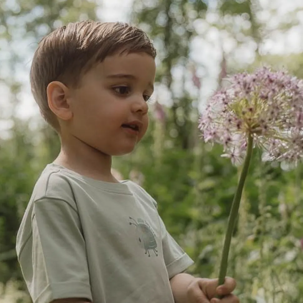Shirt korte mouw - Groen - Forest Friends