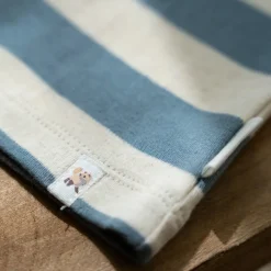 Shirt lange mouw - Blauw - Zand - Forest Friends - Stripe