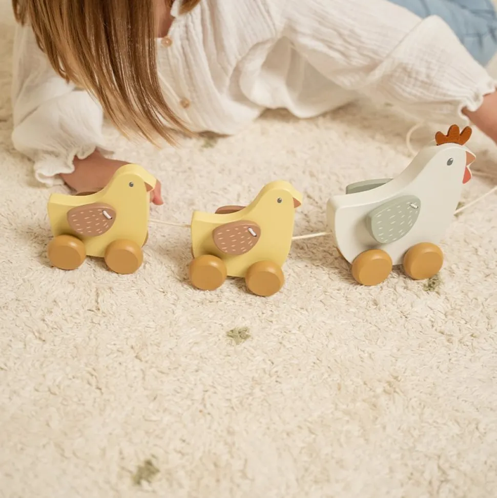 Trekdier kippen Little Farm