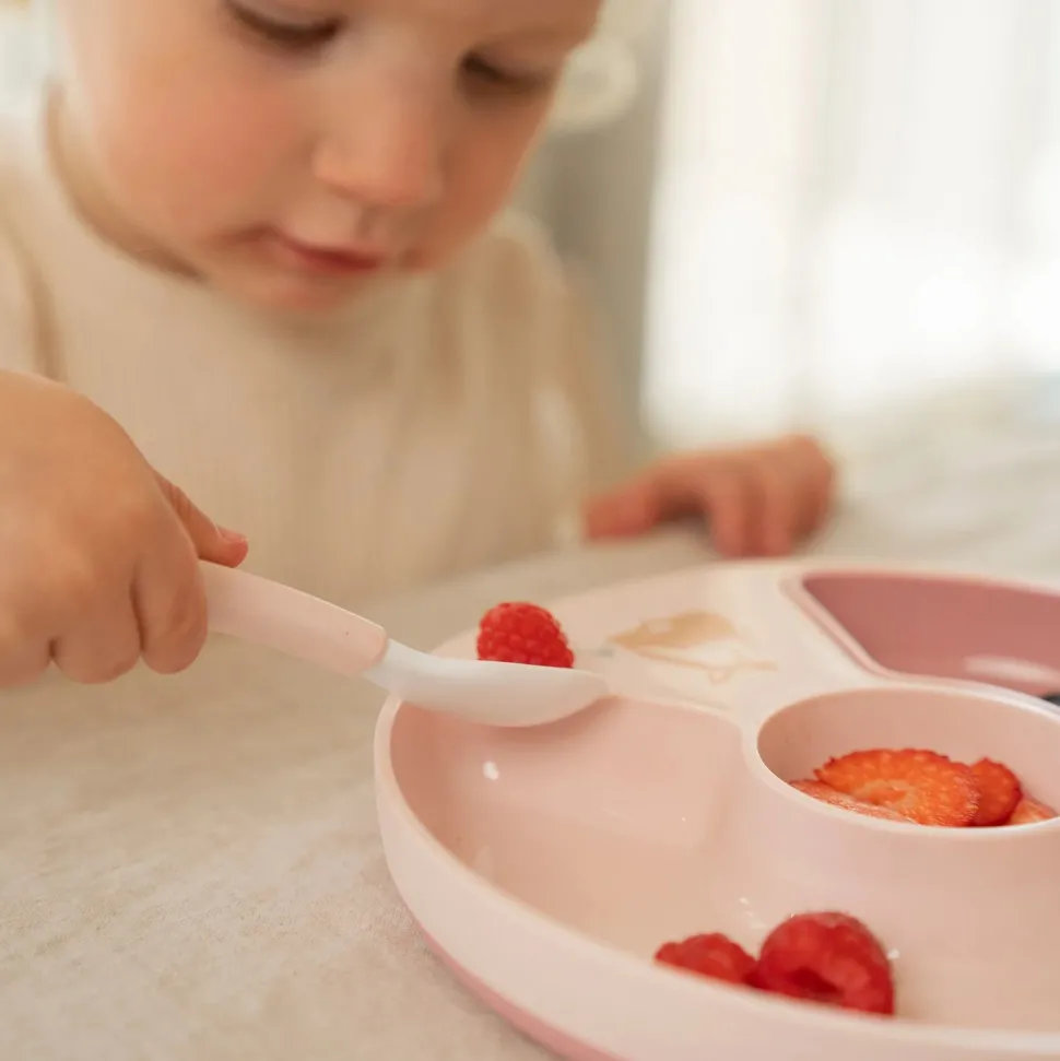 Vakjesbord Fairy Garden