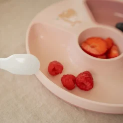 Vakjesbord Fairy Garden