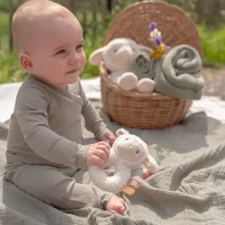 Zachte ringrammelaar schaap Little Farm